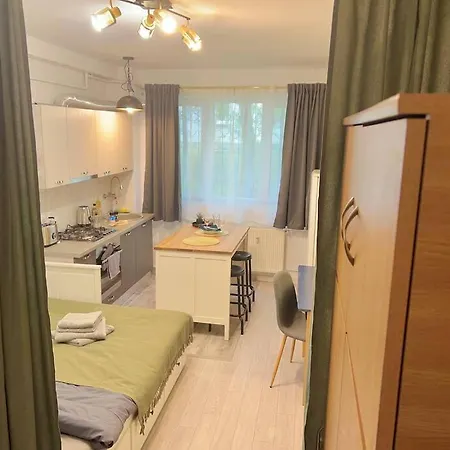 Boho Nest Quiet Modern Studio Apartament Kluż-Napoka